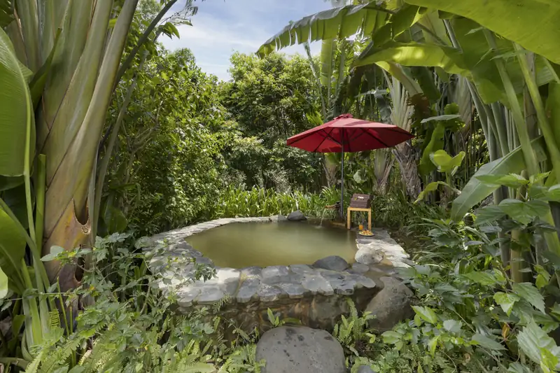 Bể onsen 5 người lát đá giữa vườn chuối, có ô đỏ che nắng ở Serena Kim Bôi