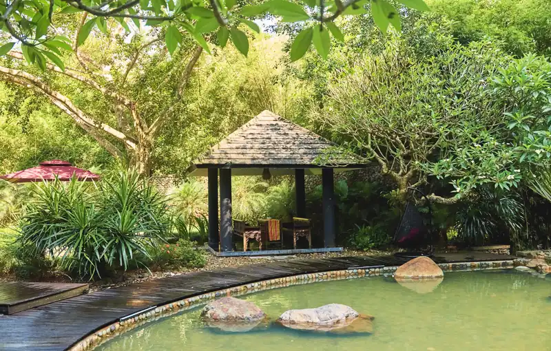 Bể onsen ngoài trời cạnh chòi gỗ giữa vườn cây ở khu Onsen kiểu Nhật, Serena Kim Bôi